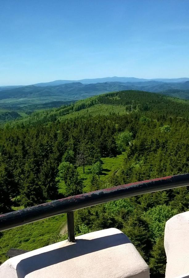 Minisowa Apartman Jedlina-Zdroj Kültér fotó